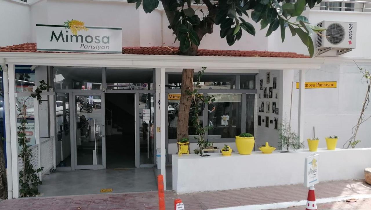 Mimosa Pension Kaş Exterior foto